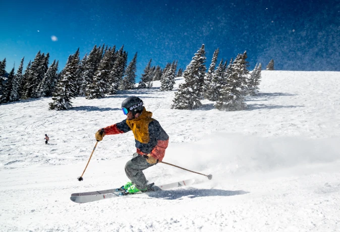 Skiing in alps between pines