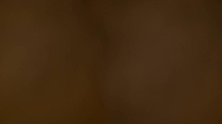 Webcam Alpe d´Huez: Pic Blanc