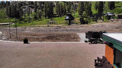 Alpine Meadows: Alpine Peek (squawalpine.com)