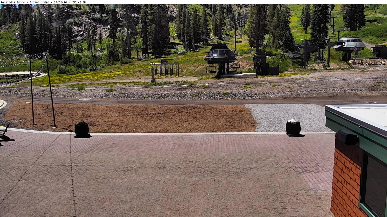 Webcam Alpine Meadows: Alpine Peek