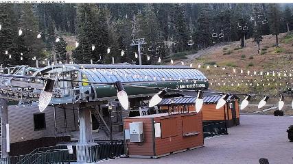 Alpine Meadows: Alpine Peek (squawalpine.com)