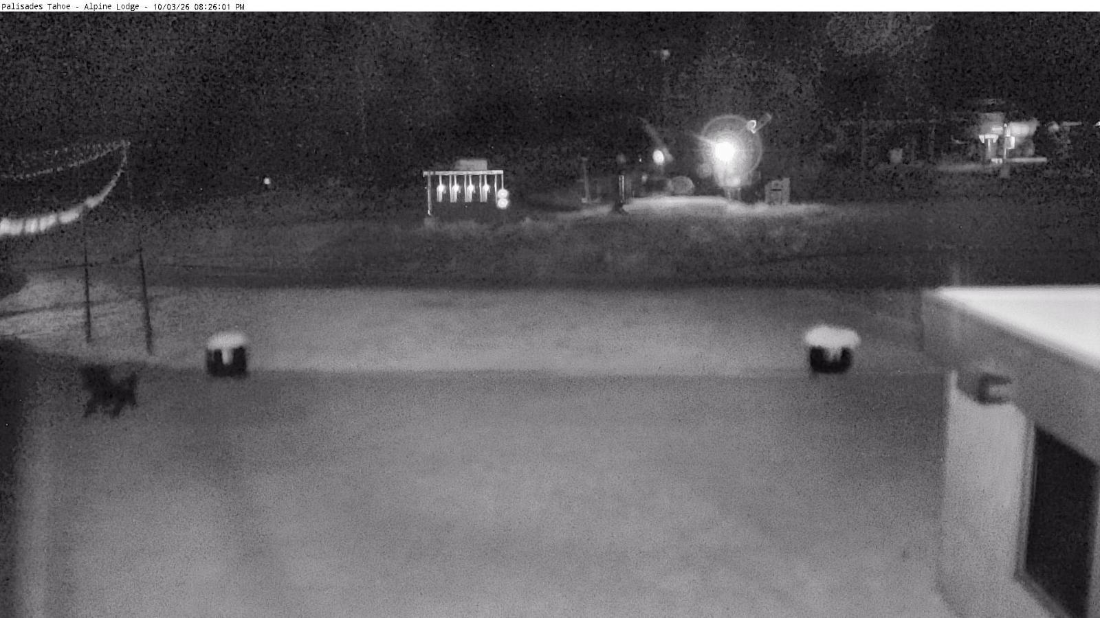 Webcam Alpine Meadows: Alpine Peek