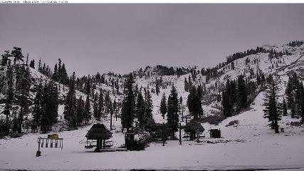 Alpine Meadows: Alpine Peek (squawalpine.com)
