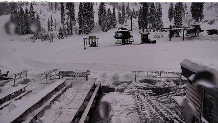 Alpine Meadows: Alpine Peek (squawalpine.com)