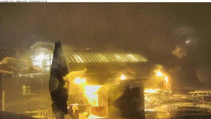 Alpine Meadows: Alpine Peek (squawalpine.com)