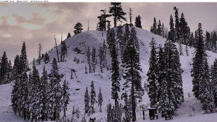 Alpine Meadows: Alpine Peek (squawalpine.com)