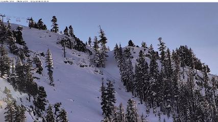 Alpine Meadows: Alpine Peek (squawalpine.com)