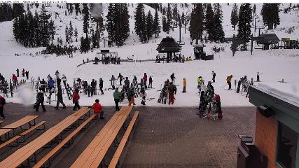 Alpine Meadows: Alpine Peek (squawalpine.com)