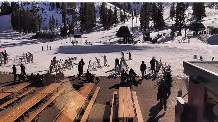 Alpine Meadows: Alpine Peek (squawalpine.com)