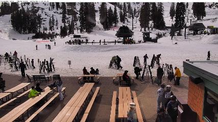 Alpine Meadows: Alpine Peek (squawalpine.com)