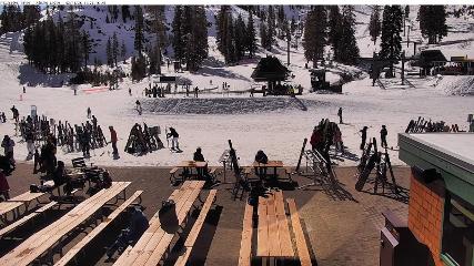 Alpine Meadows: Alpine Peek (squawalpine.com)