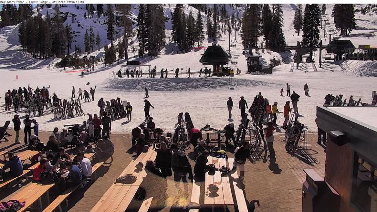 Webcam Alpine Meadows: Alpine Peek