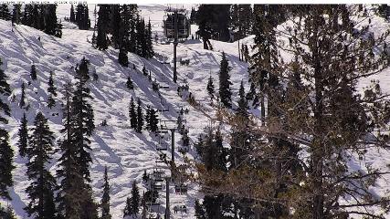 Alpine Meadows: Alpine Peek (squawalpine.com)
