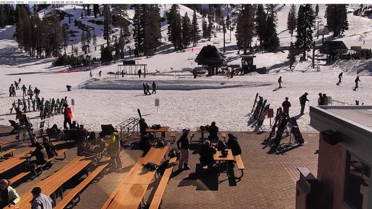 Webcam Alpine Meadows: Alpine Peek