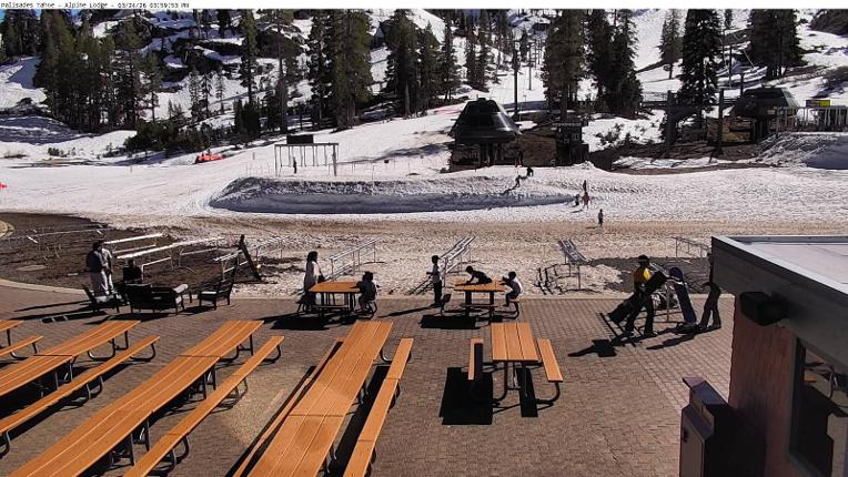 Webcam Alpine Meadows: Alpine Peek