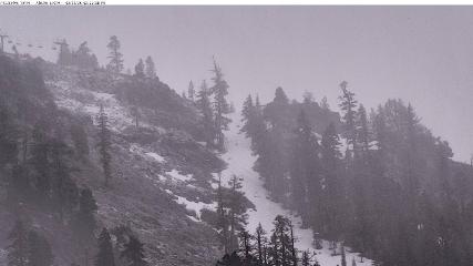 Alpine Meadows: Alpine Peek (squawalpine.com)