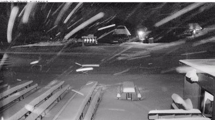 Alpine Meadows: Alpine Peek (squawalpine.com)