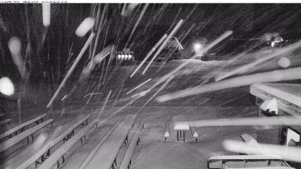 Alpine Meadows: Alpine Peek (squawalpine.com)