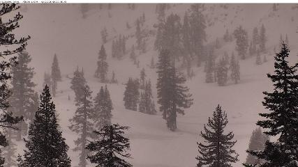 Alpine Meadows: Alpine Peek (squawalpine.com)