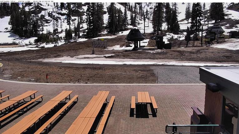 Webcam Alpine Meadows: Alpine Peek