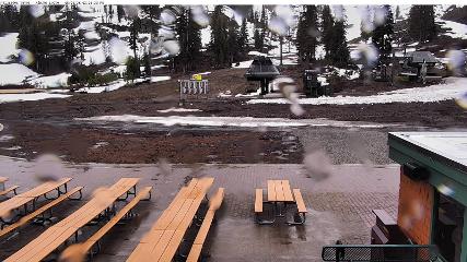 Alpine Meadows: Alpine Peek (squawalpine.com)