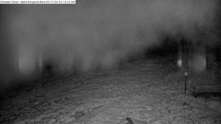 Webcam Alpine Meadows: Alpine Race Cam