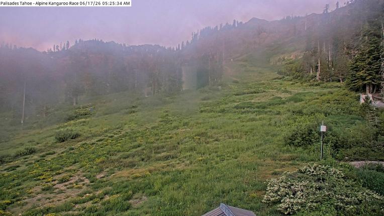 Webcam Alpine Meadows: Alpine Race Cam