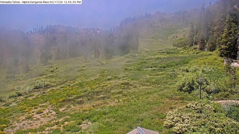 Webcam Alpine Meadows: Alpine Race Cam