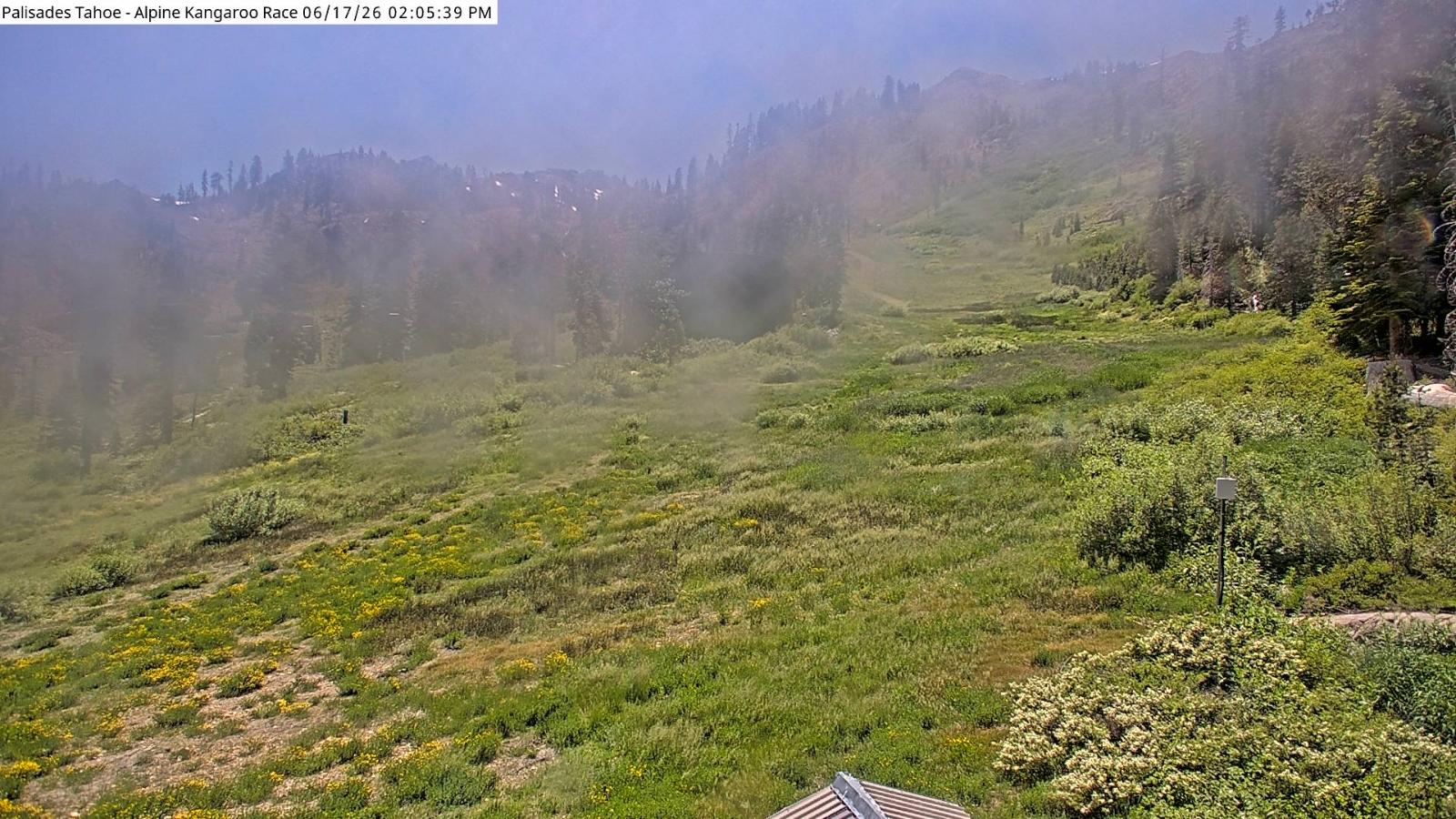 Webcam Alpine Meadows: Alpine Race Cam