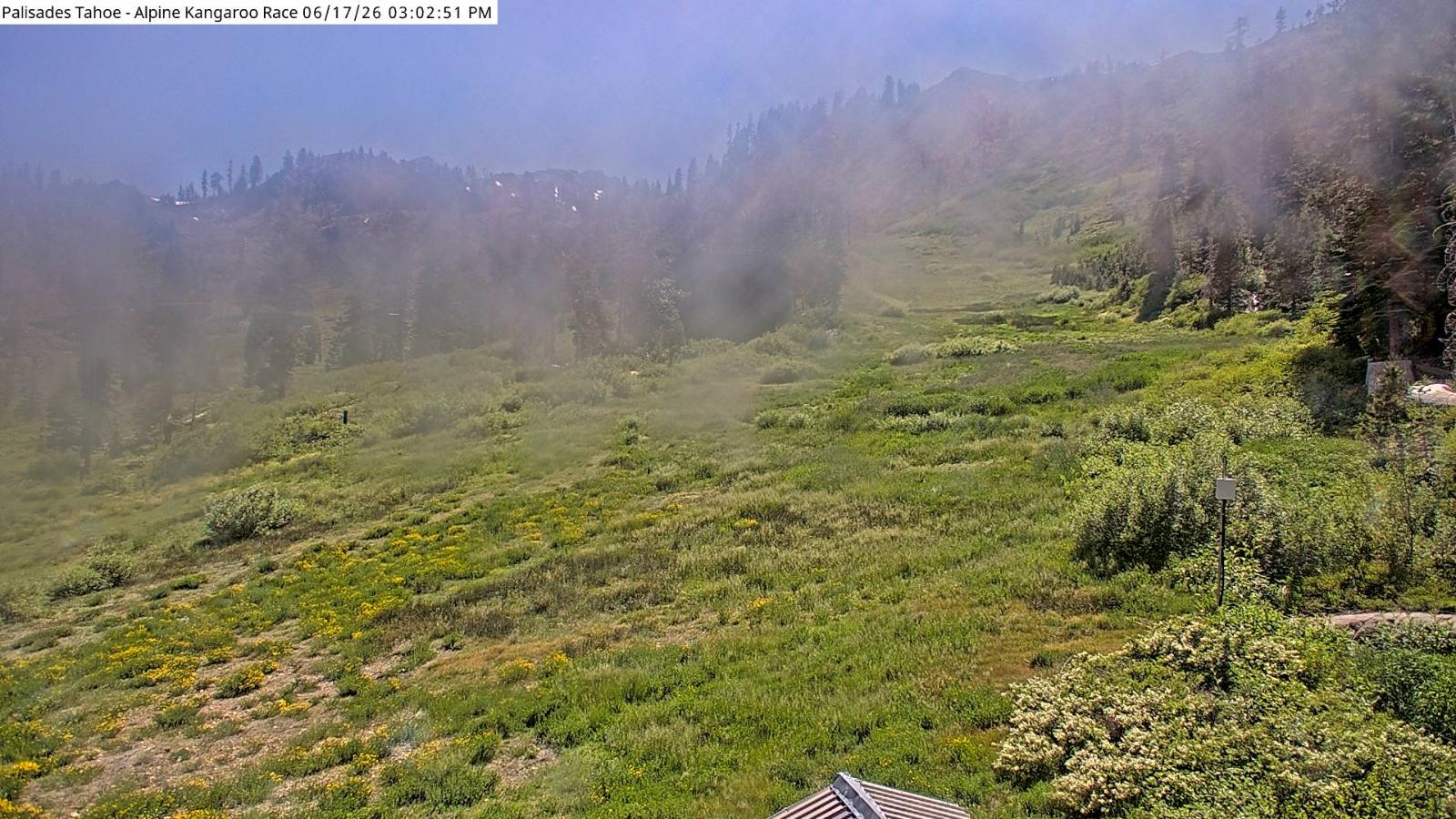 Webcam Alpine Meadows: Alpine Race Cam