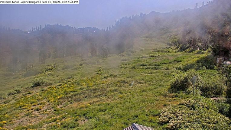 Webcam Alpine Meadows: Alpine Race Cam