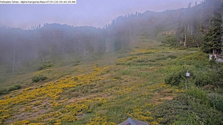 Webcam Alpine Meadows: Alpine Race Cam
