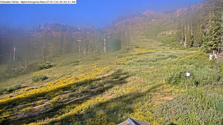 Webcam Alpine Meadows: Alpine Race Cam