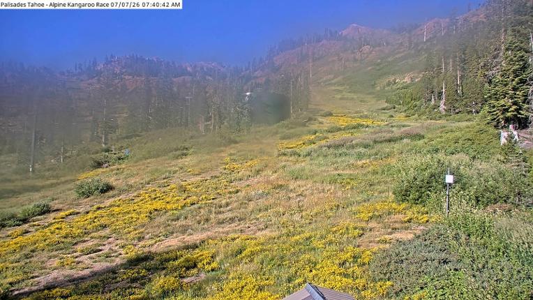Webcam Alpine Meadows: Alpine Race Cam