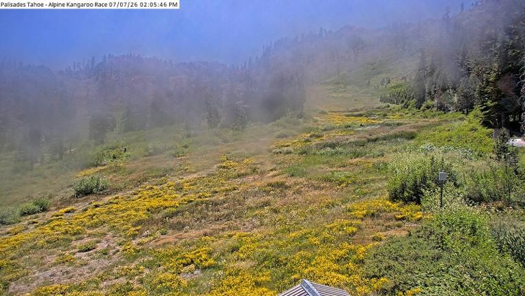 Webcam Alpine Meadows: Alpine Race Cam