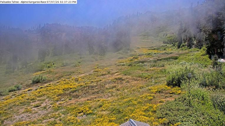 Webcam Alpine Meadows: Alpine Race Cam