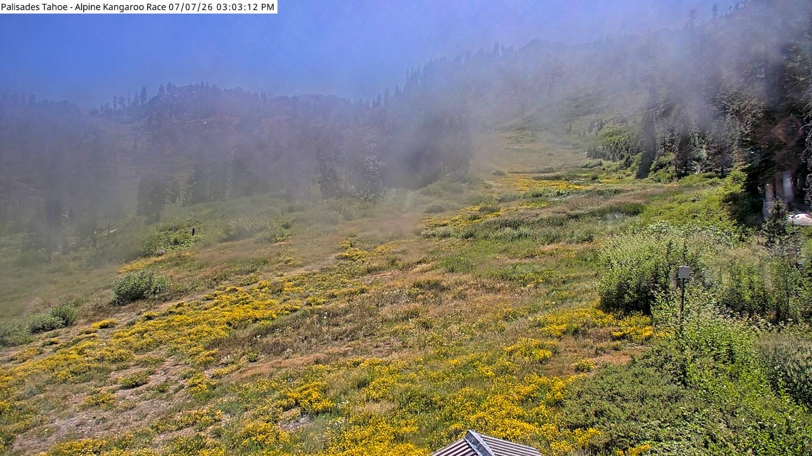 Webcam Alpine Meadows: Alpine Race Cam