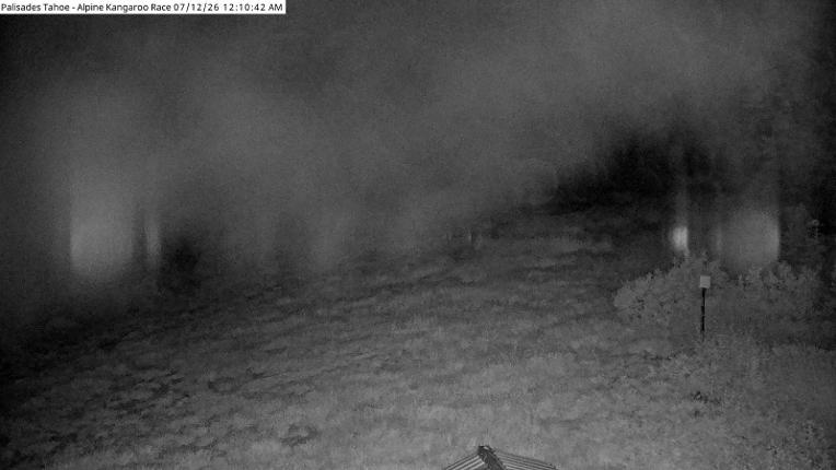 Webcam Alpine Meadows: Alpine Race Cam