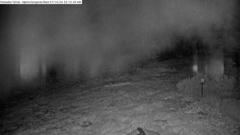 Webcam Alpine Meadows: Alpine Race Cam