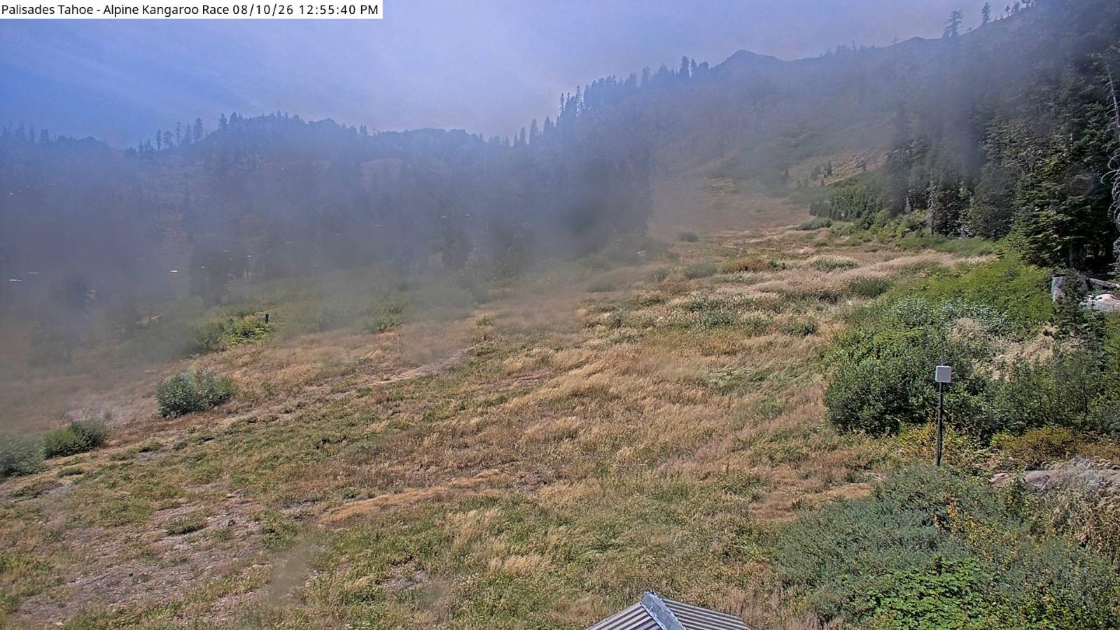 Webcam Alpine Meadows: Alpine Race Cam