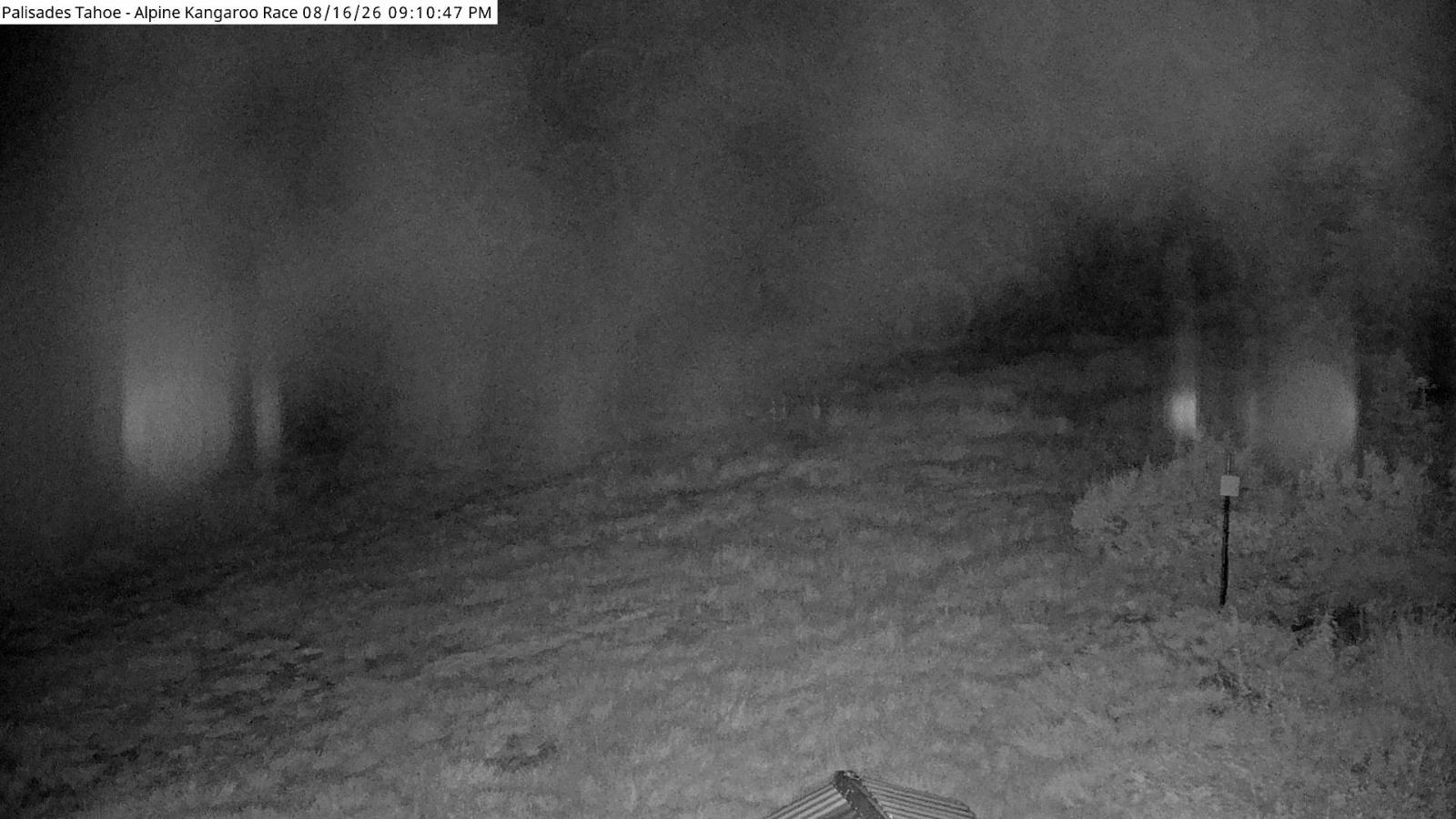 Webcam Alpine Meadows: Alpine Race Cam