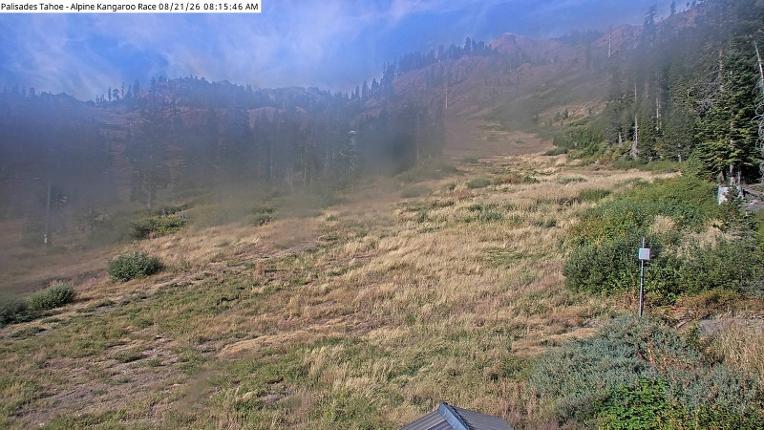 Webcam Alpine Meadows: Alpine Race Cam