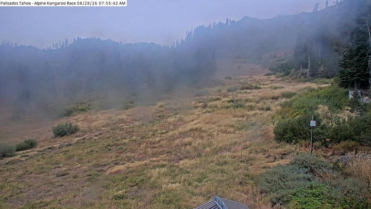 Webcam Alpine Meadows: Alpine Race Cam