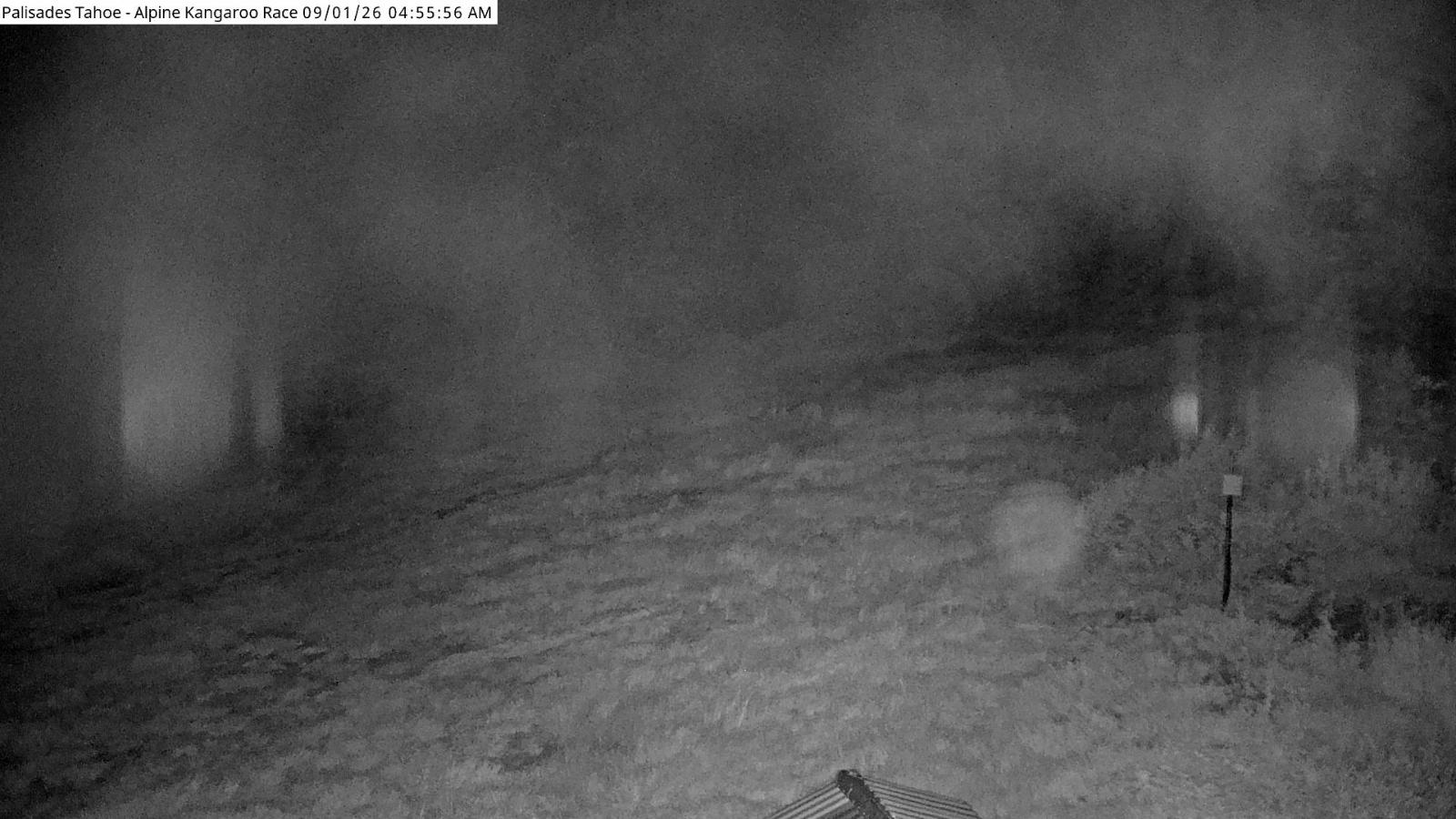 Webcam Alpine Meadows: Alpine Race Cam