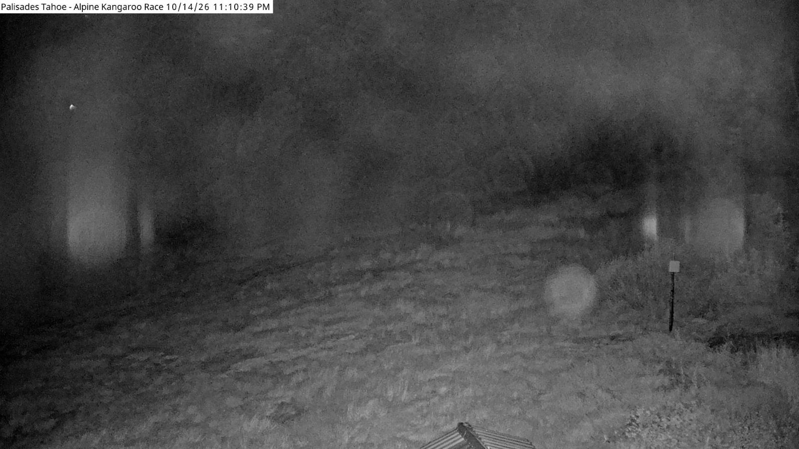 Webcam Alpine Meadows: Alpine Race Cam