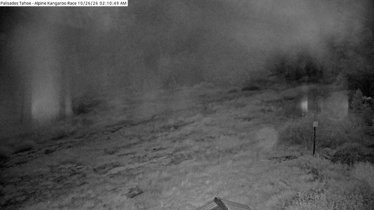 Webcam Alpine Meadows: Alpine Race Cam