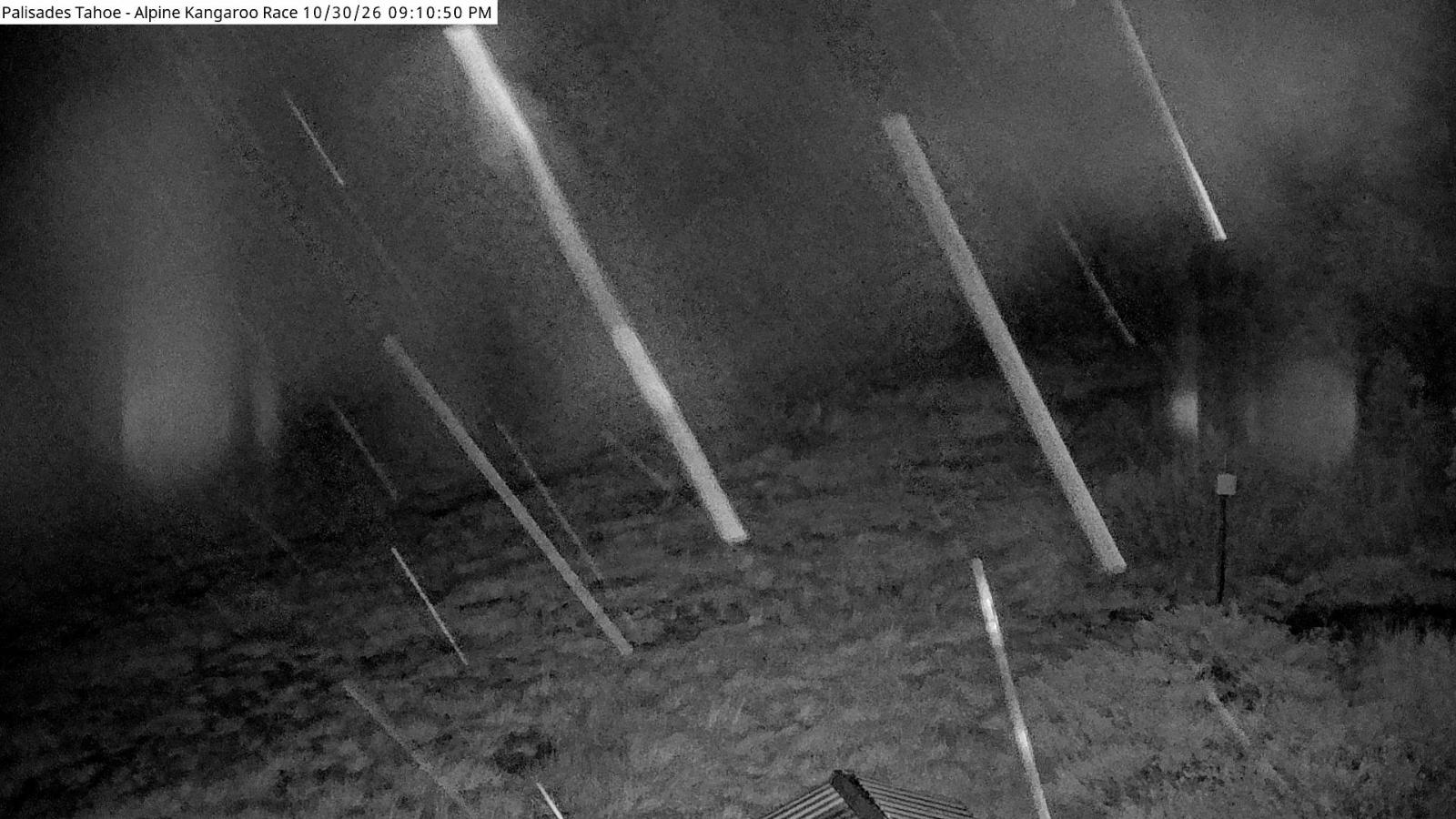 Webcam Alpine Meadows: Alpine Race Cam