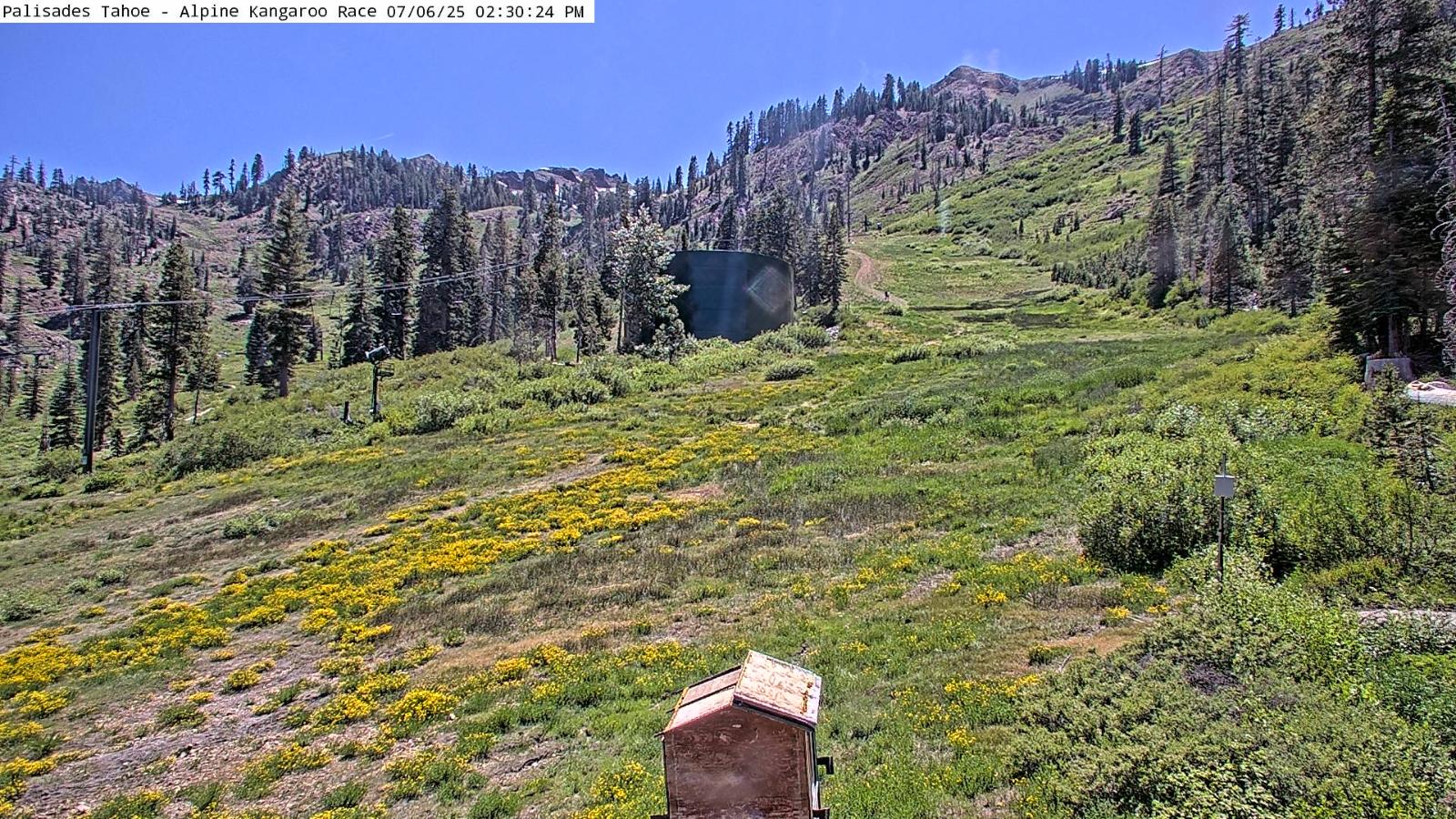 Webcam Alpine Meadows: Alpine Race Cam