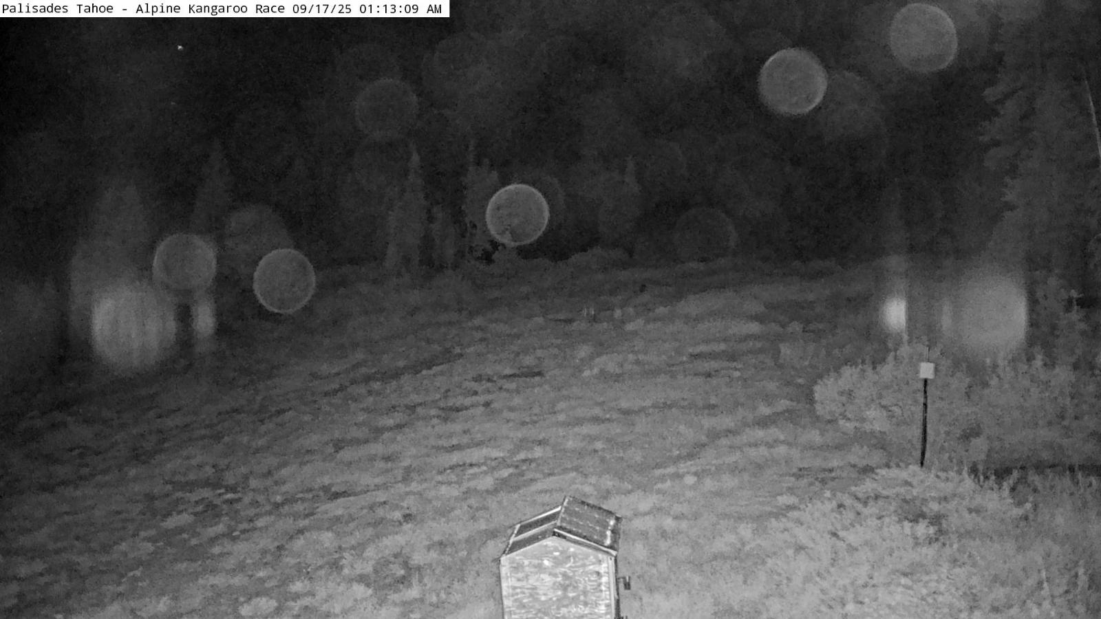 Webcam Alpine Meadows: Alpine Race Cam