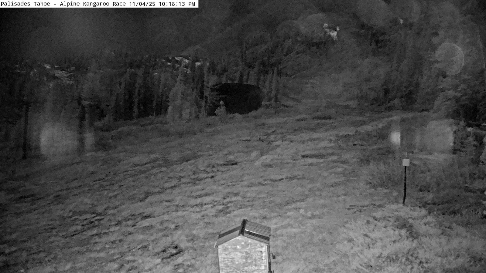 Webcam Alpine Meadows: Alpine Race Cam